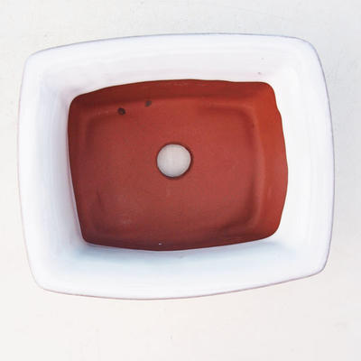 Bonsai ceramiczne miseczki H 11, biały - 3