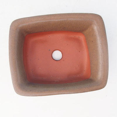 Bonsai ceramiczne miseczki H 11, brązowy - 3