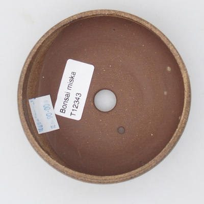 Ceramiczna miska z bonsai - 3