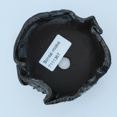 Ceramiczna skorupa - 3