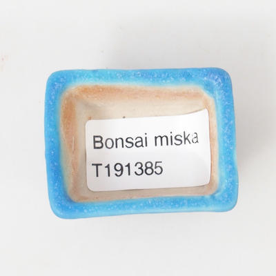 Mini miska bonsai 4,5 x 3,5 x 2,5 cm, kolor niebieski - 3