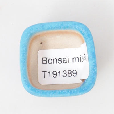 Mini miska bonsai 3,5 x 3,5 x 2,5 cm, kolor niebieski - 3