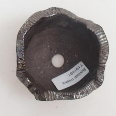 Ceramiczna skorupa - 3