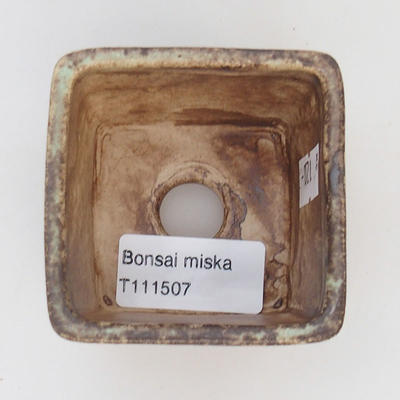 Ceramiczna miska z bonsai - 3