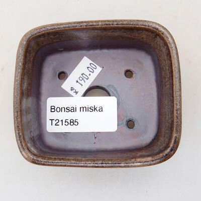 Ceramiczna miska bonsai 7,5 x 7 x 3 cm, kolor brązowy - 3