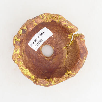 Ceramiczna skorupa 8,5 x 8 x 7,5 cm, kolor szaro-żółty - 3