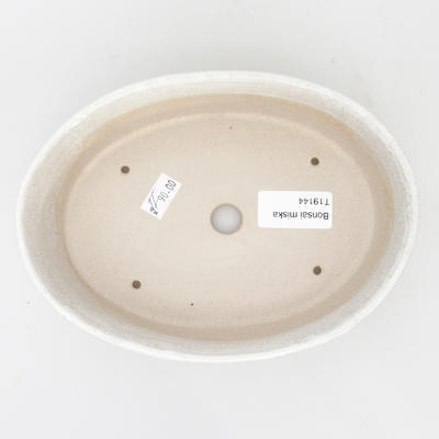 Ceramiczna miska do bonsai 2 jakości - wypalana w piecu gazowym 1240 ° C - 3