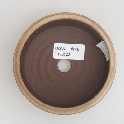 Ceramiczna miska bonsai 11 x 11 x 4 cm, kolor beżowy - 3