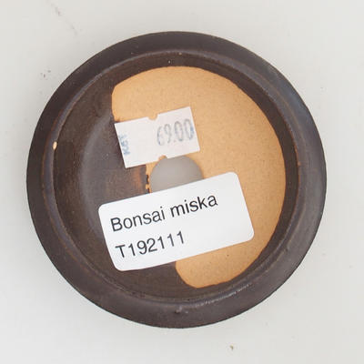 Ceramiczna miska bonsai 7 x 7 x 1,5 cm, kolor brązowy - 3