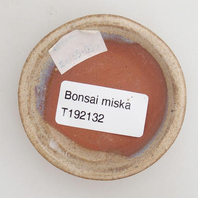 Ceramiczna miska bonsai 6,5 x 6,5 x 1,5 cm, kolor beżowy - 3