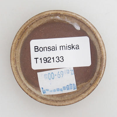 Ceramiczna miska bonsai 5,5 x 5,5 x 1 cm, kolor beżowy - 3