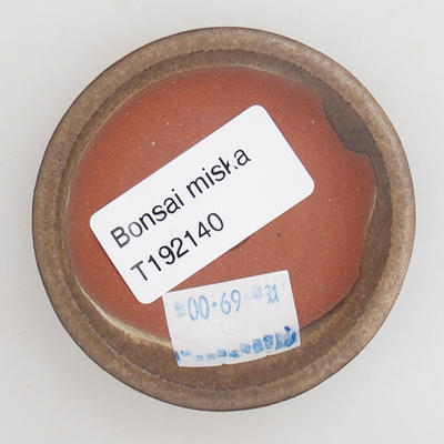 Ceramiczna miska bonsai 6 x 6 x 1,5 cm, kolor brązowy - 3