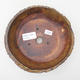 Ceramiczna miska do bonsai - wypalana w piecu gazowym 1240 ° C - 3/4