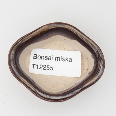 Mini miska bonsai 6 x 5 x 2,5 cm, kolor brązowy - 3