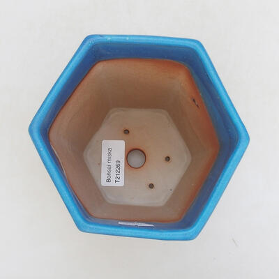 Ceramiczna miska bonsai 12,5 x 11 x 17 cm, kolor niebieski - 3