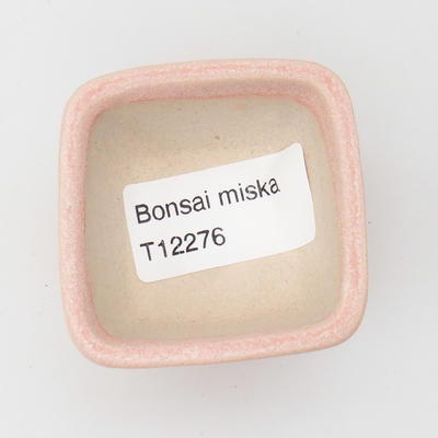Mini miska z bonsai - 3