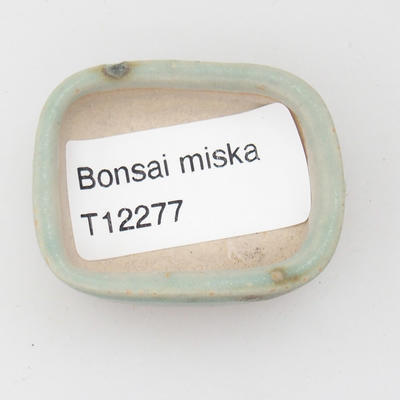 Mini miska z bonsai - 3