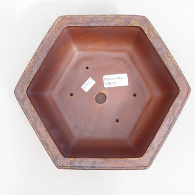 Ceramiczna miska bonsai 24 x 21,5 x 8 cm, kolor brązowy - 3