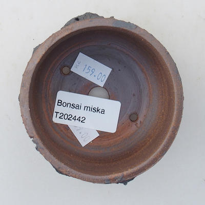 Ceramiczna miska bonsai 8 x 8 x 4,5 cm, kolor spękany - 3