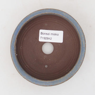 Ceramiczna miska bonsai 10 x 10 x 4 cm, kolor niebieski - 3
