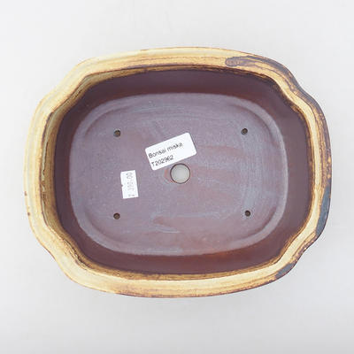 Ceramiczna miska bonsai 21 x 17 x 7 cm, kolor brązowy - 3