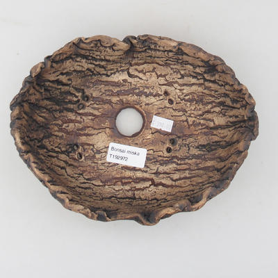 Ceramiczna skorupa 20,5 x 15,5 x 8,5 cm, kolor szaro-brązowy - 3