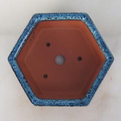 Miska Bonsai 17 x 15 x 6 cm, kolor niebieski - 3