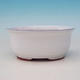 Ceramiczna miska bonsai H 30 - 12 x 10 x 5 cm, biały - 12 x 10 x 5 cm - 3/3