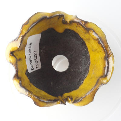 Ceramiczna powłoka 9 x 9 x 6 cm, kolor żółty - 3