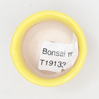 Mini miska bonsai 4 x 4 x 3 cm, kolor żółty - 3