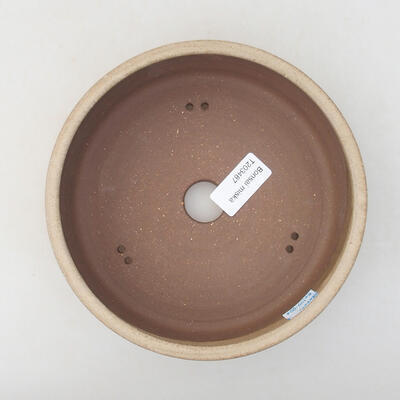 Ceramiczna miska bonsai 17 x 17 x 5 cm, kolor beżowy - 3