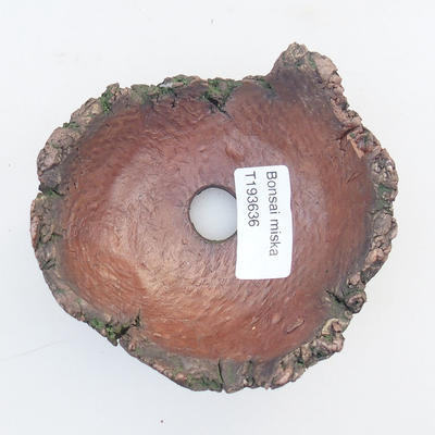 Ceramiczna skorupa 10 x 9 x 5 cm, kolor brązowo-zielony - 3