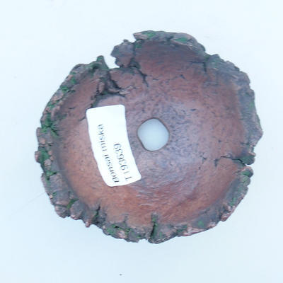 Ceramiczna skorupa 8 x 8 x 5,5 cm, kolor brązowo-zielony - 3