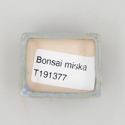 bonsai doniczka - 3
