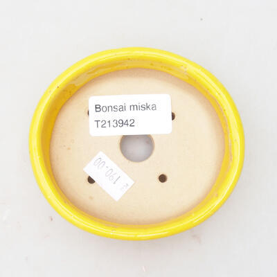 Ceramiczna miska bonsai 9 x 8,5 x 2,5 cm, kolor żółty - 3
