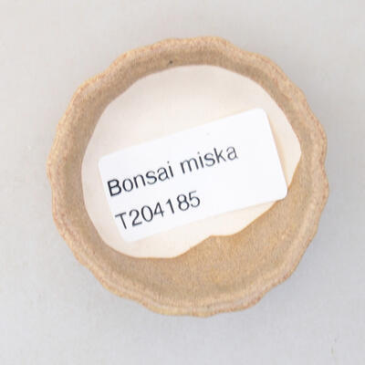 Mini miska bonsai 5 x 5 x 1,5 cm, kolor beżowy - 3
