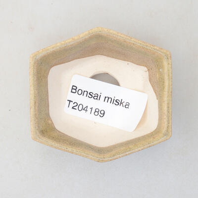 Mini miska bonsai 6 x 5 x 2 cm, kolor beżowy - 3