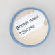 Mini miska bonsai 3,5 x 3,5 x 2 cm, kolor niebieski - 3/3