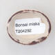 Mini miska bonsai 4 x 3 x 2 cm, kolor czerwony - 3/3