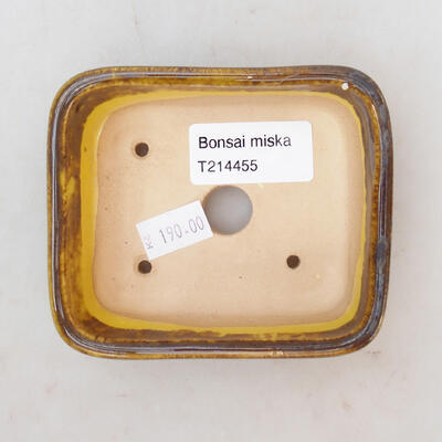 Ceramiczna miska bonsai 9,5 x 8 x 3,5 cm, kolor żółto-brązowy - 3