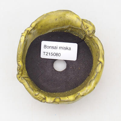 Ceramiczna muszla 9 x 8,5 x 5 cm, kolor żółty - 3