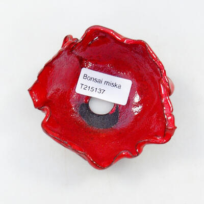 Ceramiczna muszla 8,5 x 8 x 4,5 cm, kolor czerwony - 3