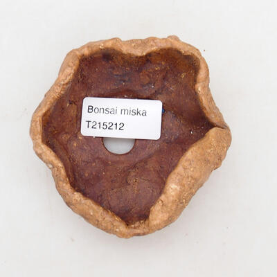 Ceramiczna muszla 8,5 x 8 x 5 cm, kolor brązowy - 3