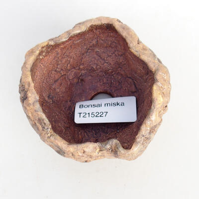 Ceramiczna muszla 8 x 8 x 6,5 cm, kolor brązowy - 3