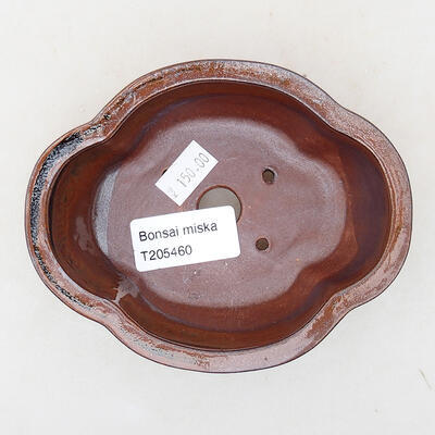 Ceramiczna miska bonsai 12 x 10 x 4,5 cm, kolor brązowy - 3