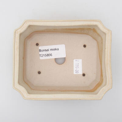 Ceramiczna miska do bonsai 12,5 x 10,5 x 4 cm, kolor beżowy - 3