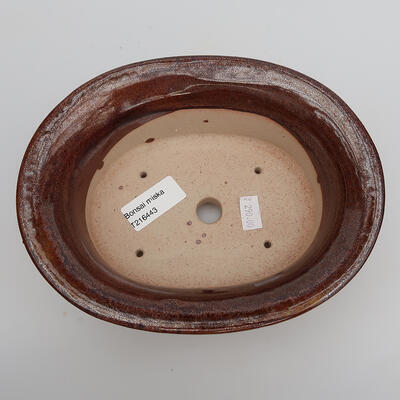 Ceramiczna miska bonsai 19 x 15,5 x 6 cm, kolor brązowy - 3