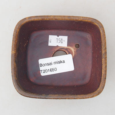 Ceramiczna miska bonsai 9,5 x 8 x 3,5 cm, kolor cegieł - 3