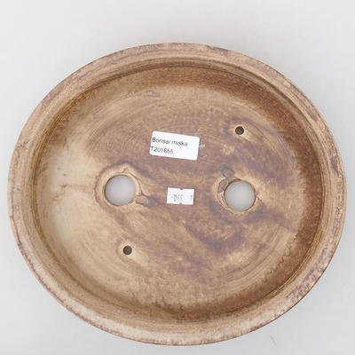 Ceramiczna miska bonsai 24,5 x 21,5 x 5 cm, kolor beżowy - 3