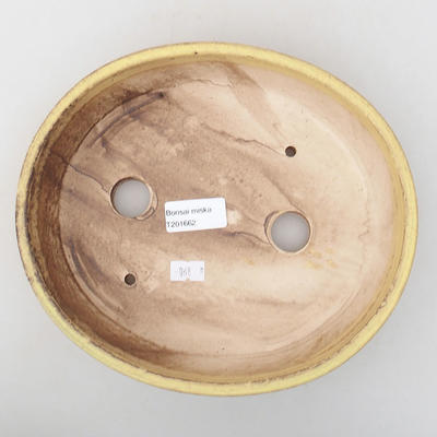 Ceramiczna miska bonsai 22,5 x 19,5 x 5 cm, kolor żółty - 3